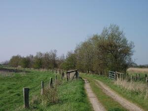 Typische Knicklandschaft in Ostholstein
