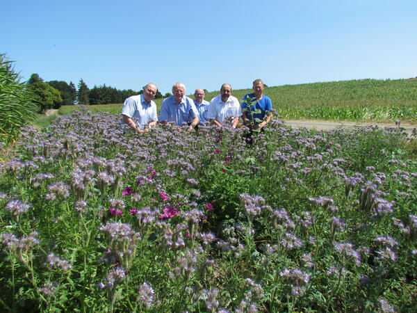 Bild vergrößern: von links: Fachdienstleiter Joachim Siebrecht, Landrat Reinhard Sager, Geschäftsführer Kreisbauernverband Holger Schädlich, Vorsitzender Kreisbauernverband Lutz Schlünzen, Eigentümer Hof Radlandsichten Frank Schumacher
