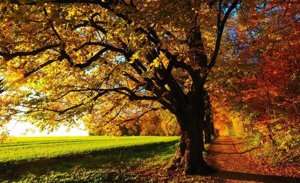 Ostholstein im Herbst