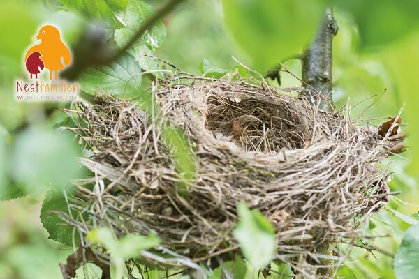 Nestfamilie  mit Logo (Foto: AdobeStock, Logo: Kreis Pinneberg)