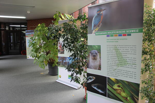 Bild vergrößern: Räumlichkeit zur Ausstellung Naturparks in Schleswig-Holstein im Kreishaus