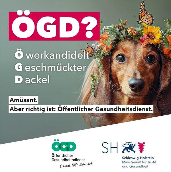 Bild vergr&ouml;&szlig;ern: �ffentlicher Gesundheitsdienst (�GD)