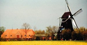 Bild vergrößern: Das Mühlenmuseum Lemkenhafen auf Fehmarn